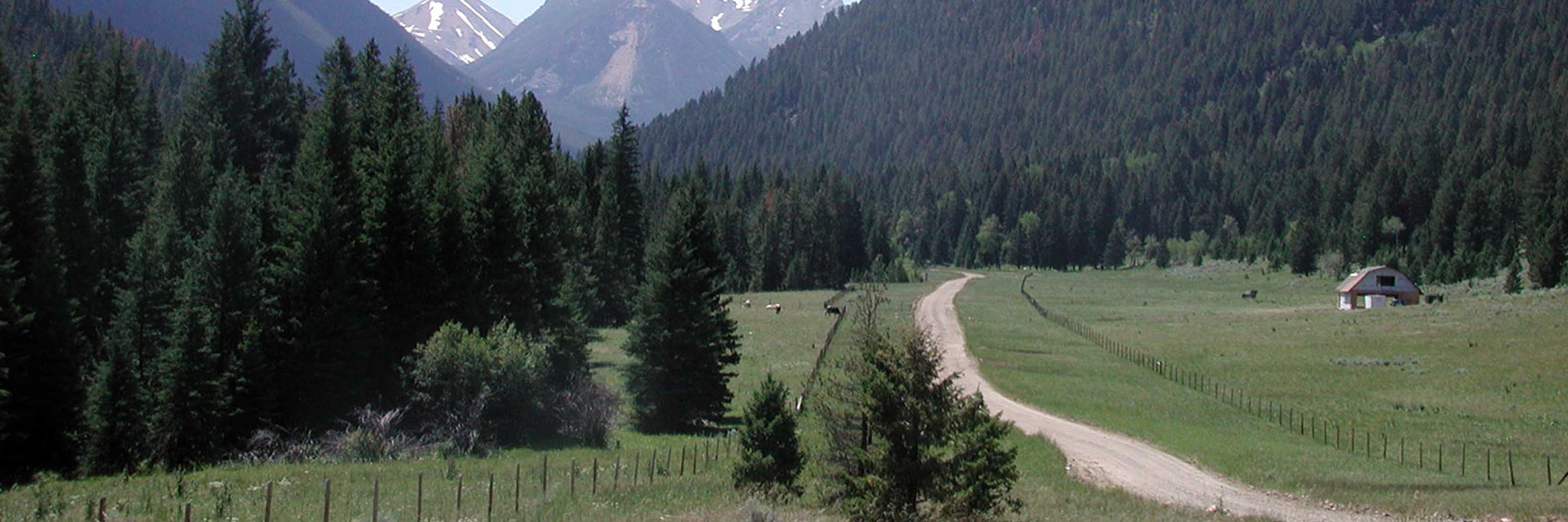 landscape of a forest ridge and rural road